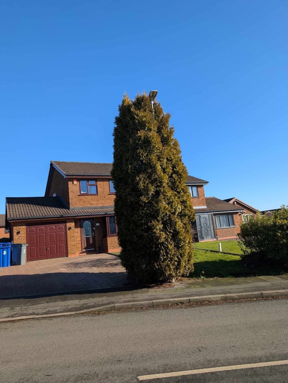 Garden and shrub maintenance – completed view