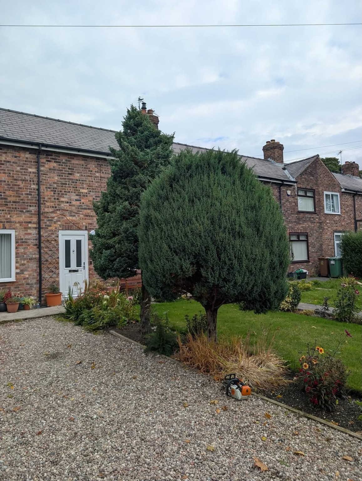 Countrywide tree surgery & felling work