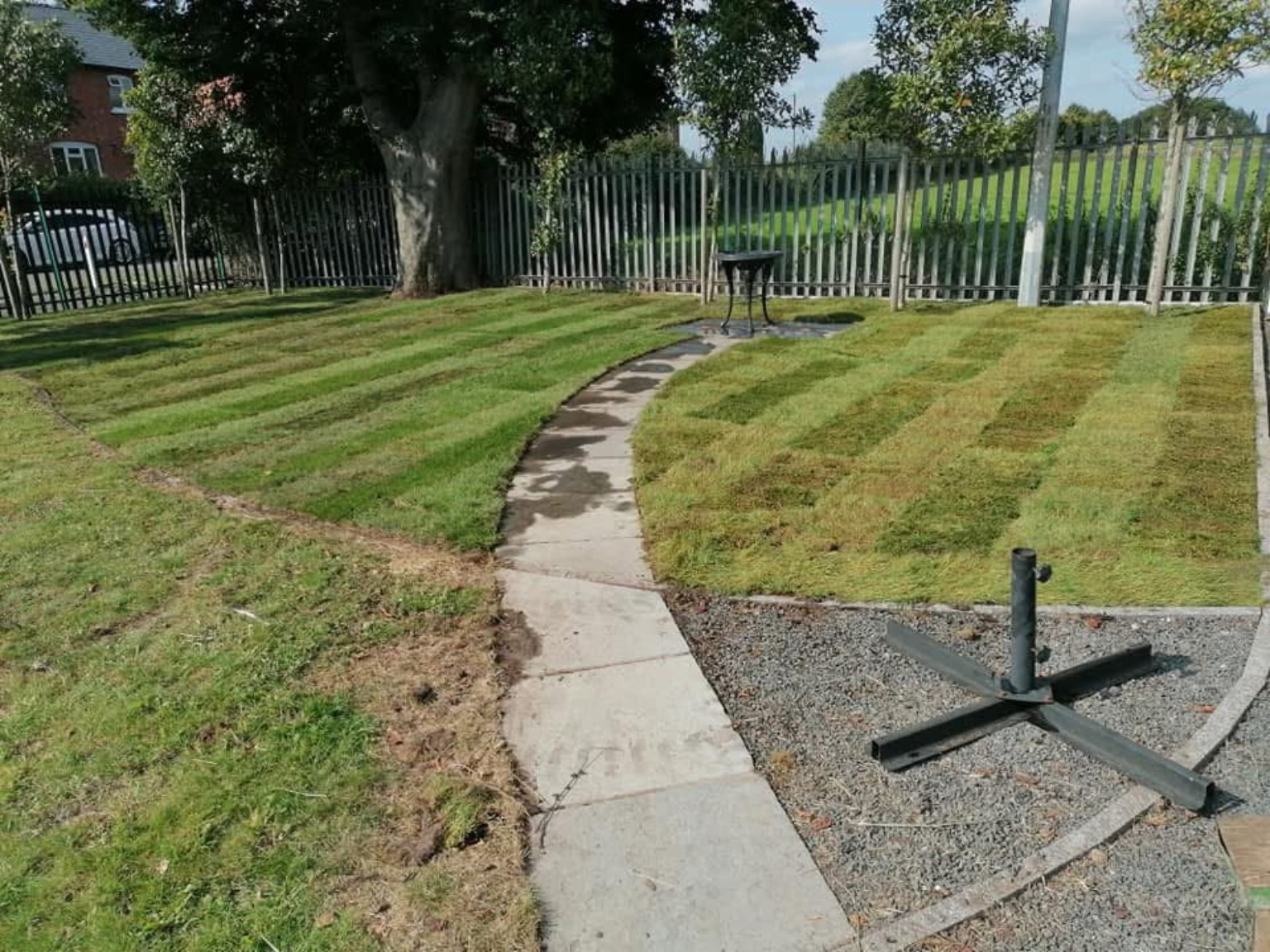 Tall hedge maintenance