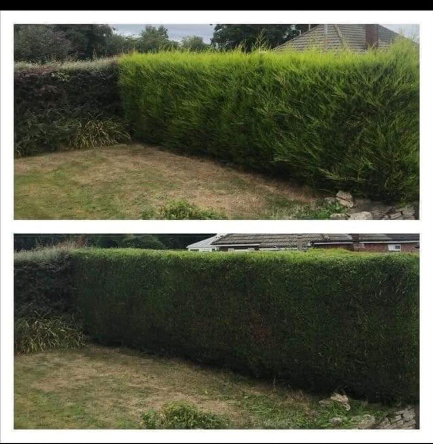 Hedge cutting – before and after