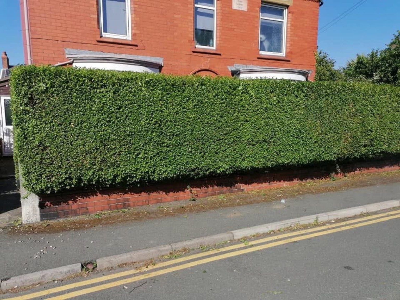 Neatly trimmed hedge outside a house
