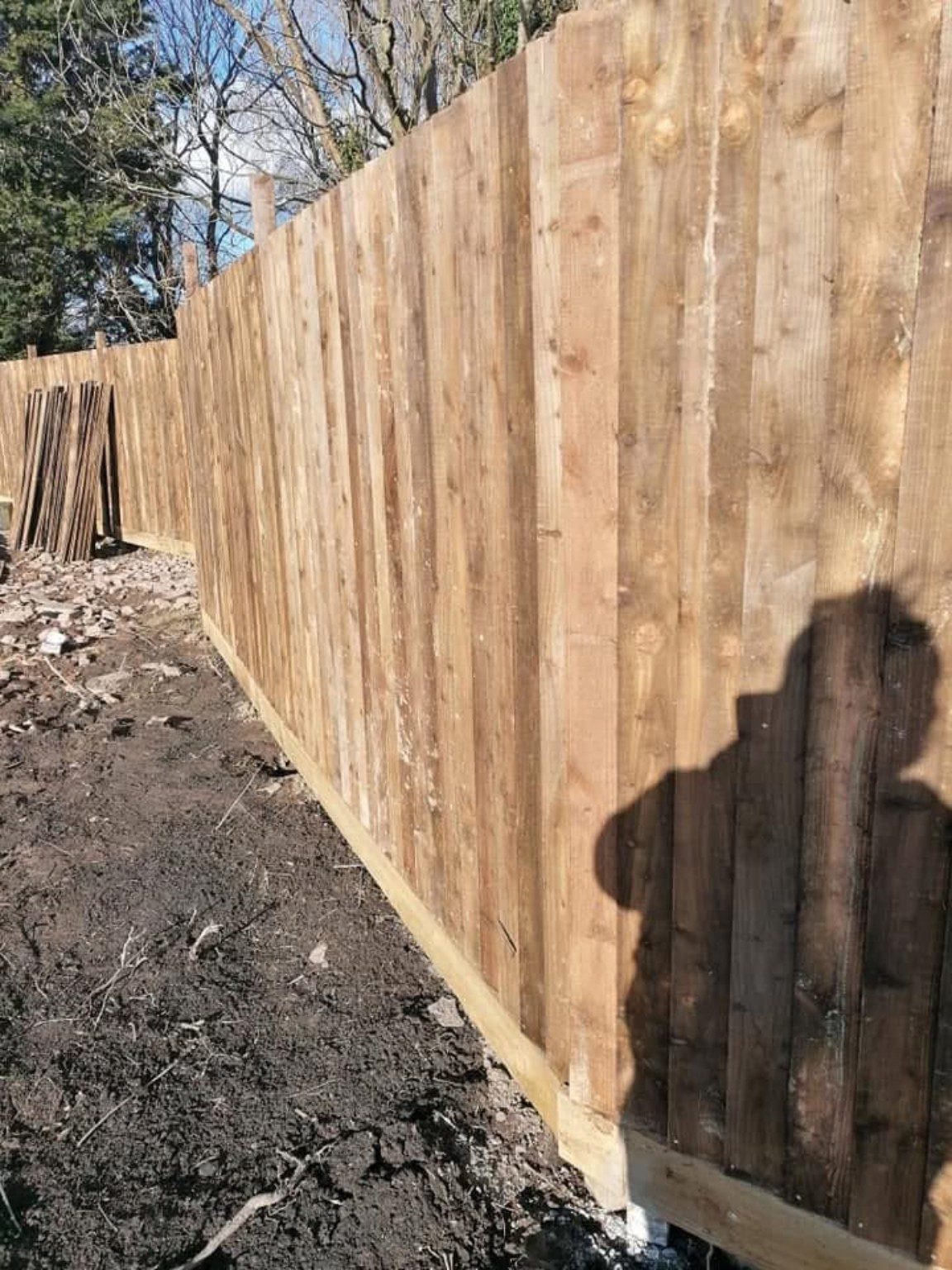 New timber garden fencing